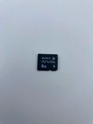 PS Vita 1004 OLED+Dungeon Hunter+Accessori