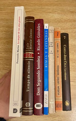 Lote 7 libros literatura española / 2 € el lote