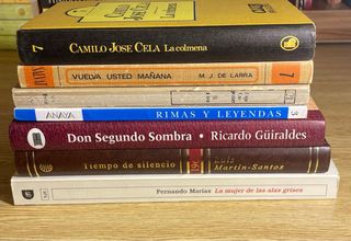 Lote 7 libros literatura española / 2 € el lote