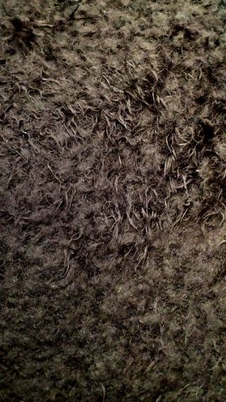 Jersey de mujer de Mango Negro peludito, S