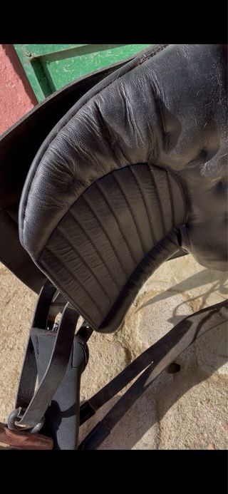 Montura de caballo negra