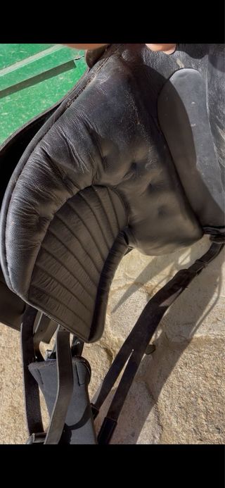 Montura de caballo negra