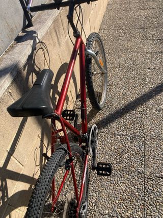 Bicicleta MB shimano de 26” adulto.