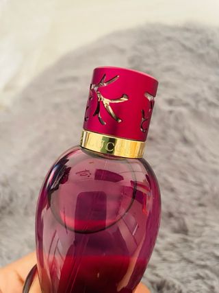 3 Perfumes Hechizo Victorio & Lucchino Morado