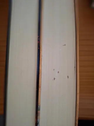 Una columna de fuego (Saga Los pilares de la Ti...