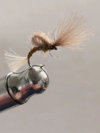Moscas secas pesca