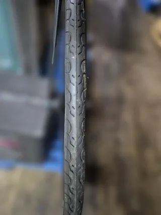 Bici Munich Piñón Fijo Nueva