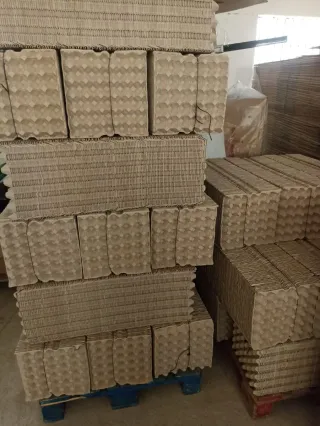 Cartones para huevos