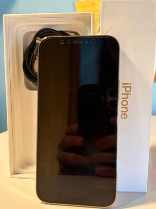 iPhone 12 Pro 92% Batteria Argento 128gb