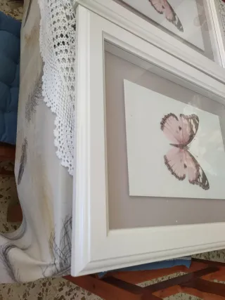 Cuadro Mariposas Ikea 38x48     2 unidades.