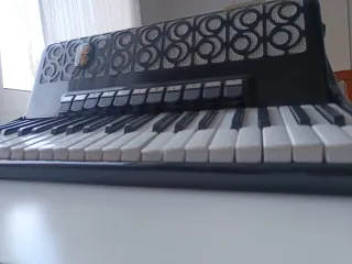 Acordeón Royal Standard Montana