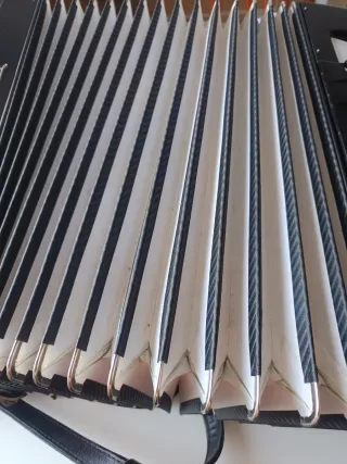 Acordeón Royal Standard Montana