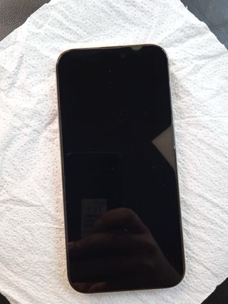 iPhone 16 Pro Max - Dorado/Plateado