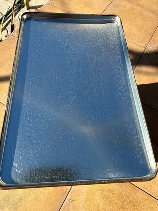 Lata para pienso de gato Purina