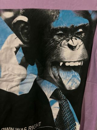 Camiseta Estampada Mono Darwin Was Right