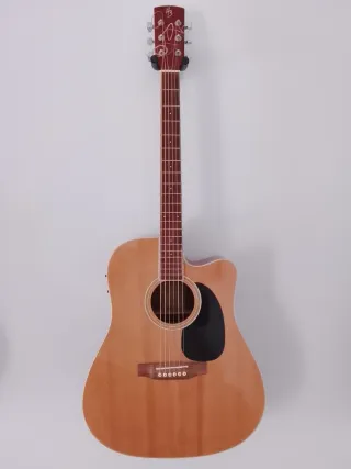 Chitarra Acustica Harley Benton