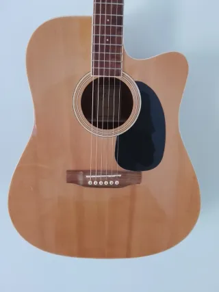 Chitarra Acustica Harley Benton