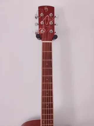Chitarra Acustica Harley Benton