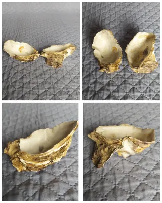 Set 8 Posaceneri Varie forme