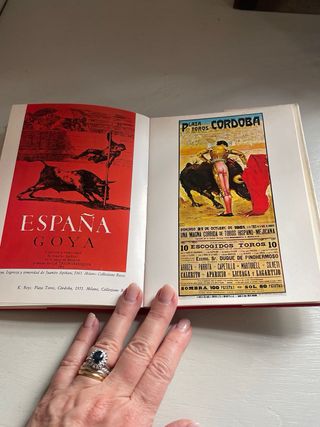 Libro da collezione “I Manifesti” di Elite