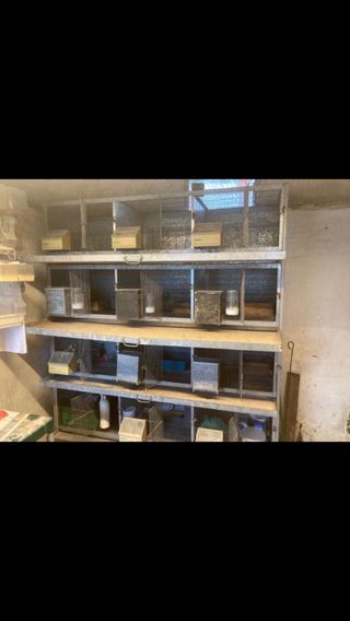 Módulo de jaulas para codornices, perdices...