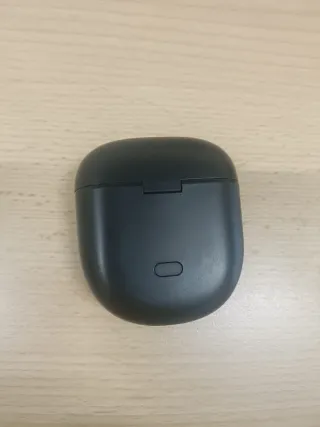 Bose Quiet Comfort Earbuds II solo case