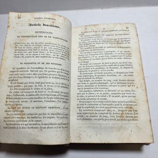 Libro Antico 1834 Trattato D’anatomia Bayle Medico
