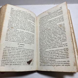 Libro Antico 1834 Trattato D’anatomia Bayle Medico