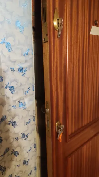 Puerta blindada principal madera