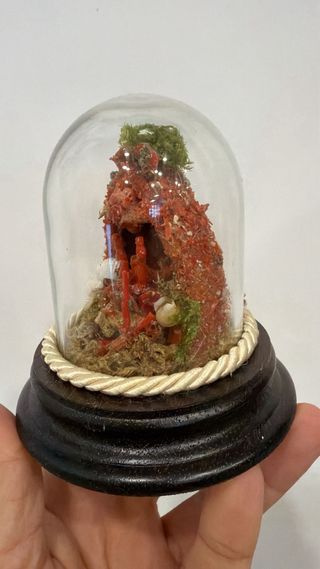 Presepe corallo con conchiglia e muschio