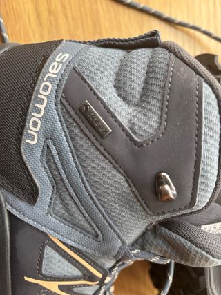 Botas senderismo Salomon Daintree Mid Goretex