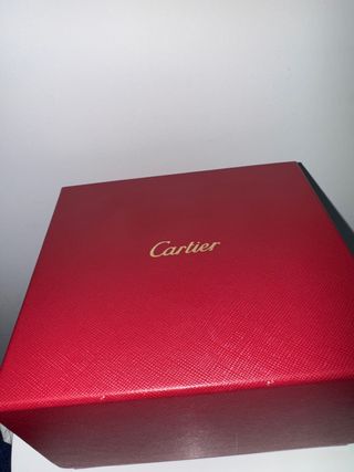 Reloj Cartier Santos, modelo grande 2025