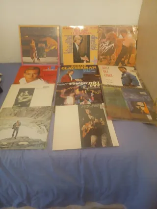 Vinilos lote 11 discos
