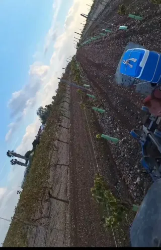 Busco trabajo de tractorista/maquinista