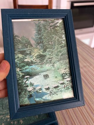 Lote 3 Cuadros ilustraciones metalizadas