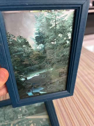 Lote 3 Cuadros ilustraciones metalizadas