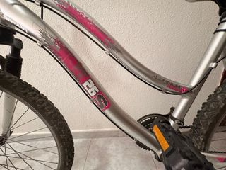 Bicicleta Aluminio 26