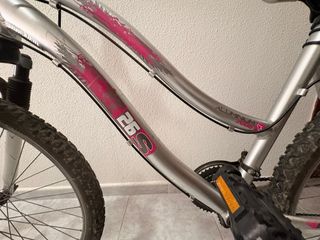 Bicicleta Aluminio 26