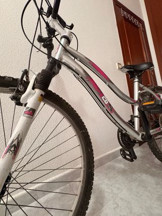 Bicicleta Aluminio 26