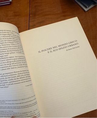 La Città Gioiosa Libro Perfetto