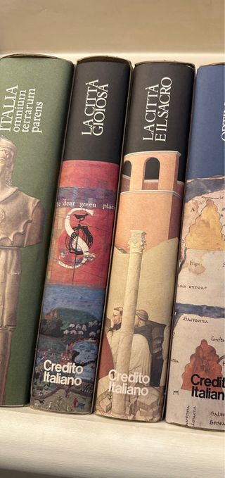 La Città Gioiosa Libro Perfetto