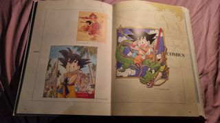Dragon Ball Ilustraciones Completas Planeta DeAgos