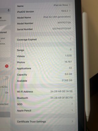 iPad Air 4ª Gen + Apple Pencil Rosa