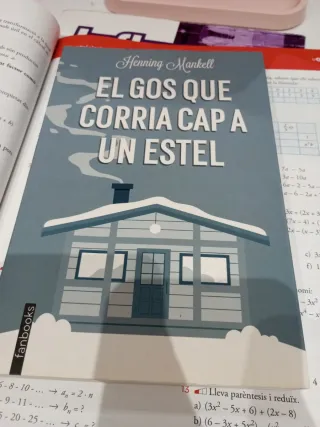 El gos que corria cap a un estel