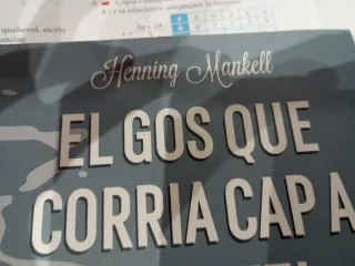 El gos que corria cap a un estel