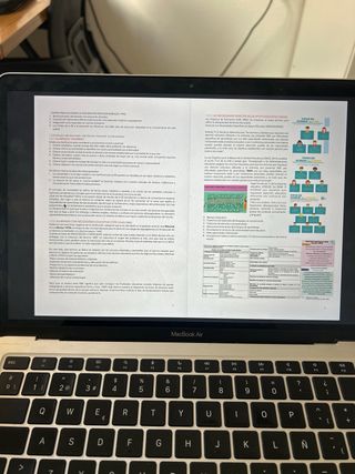 Atención a la diversidad en Educación Primaria