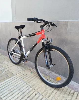 Mountain Bike, Bici de Montaña