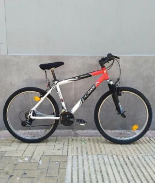 Mountain Bike, Bici de Montaña