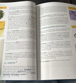 Libros de temario TCAE de ilerna