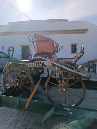 Carruaje Pouvrawn de limonera